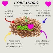 Coriandro en Grano x 100 gr