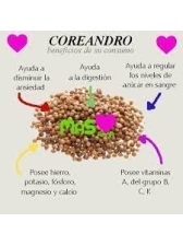 Coriandro en Grano x 100 gr