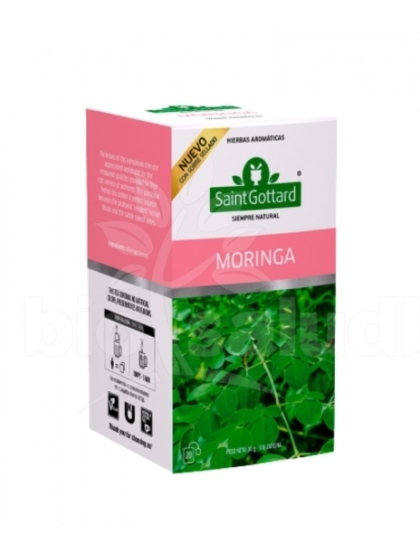 Te Moringa x 20 saq. - Saint Gottard