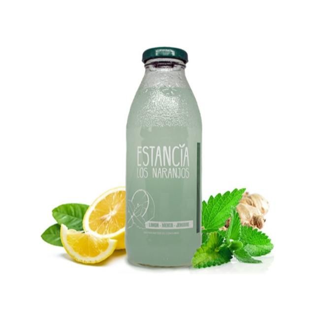 Jugo de Limon, Menta y Jengibre x 500 ml  Estancia  los Naranjos