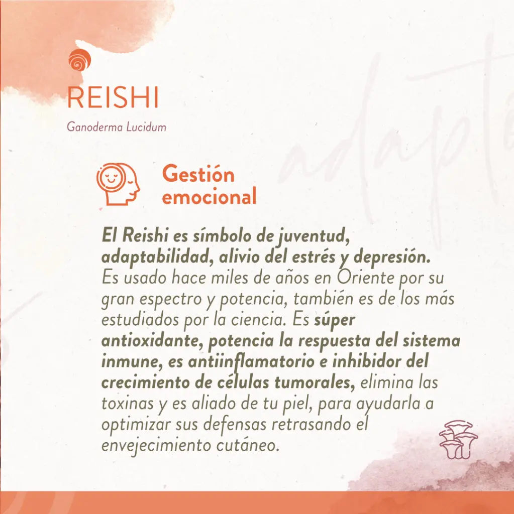 Reishi x 50ml -Primitiva