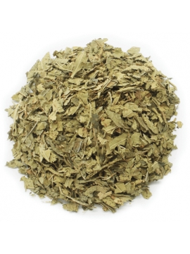 Yerba meona -Arenaria - x 100g