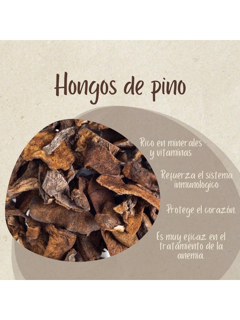 Hongos de Pino x 50 grs.